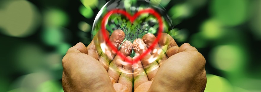This is an image of a hand wth a bubble that is significant of healing hands, love. energy healing and Reiki