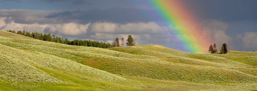 When Spirit Meets Science Haripriya Suraj Suraj Manjunath Rainbow