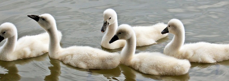 This is an image of relxation in the post on Reiki& Going with the Flow by Haripriya Suraj