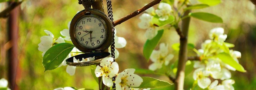 This image shows a clock amidst trees in a blog post on Valentine's Day by Haripriya Suraj