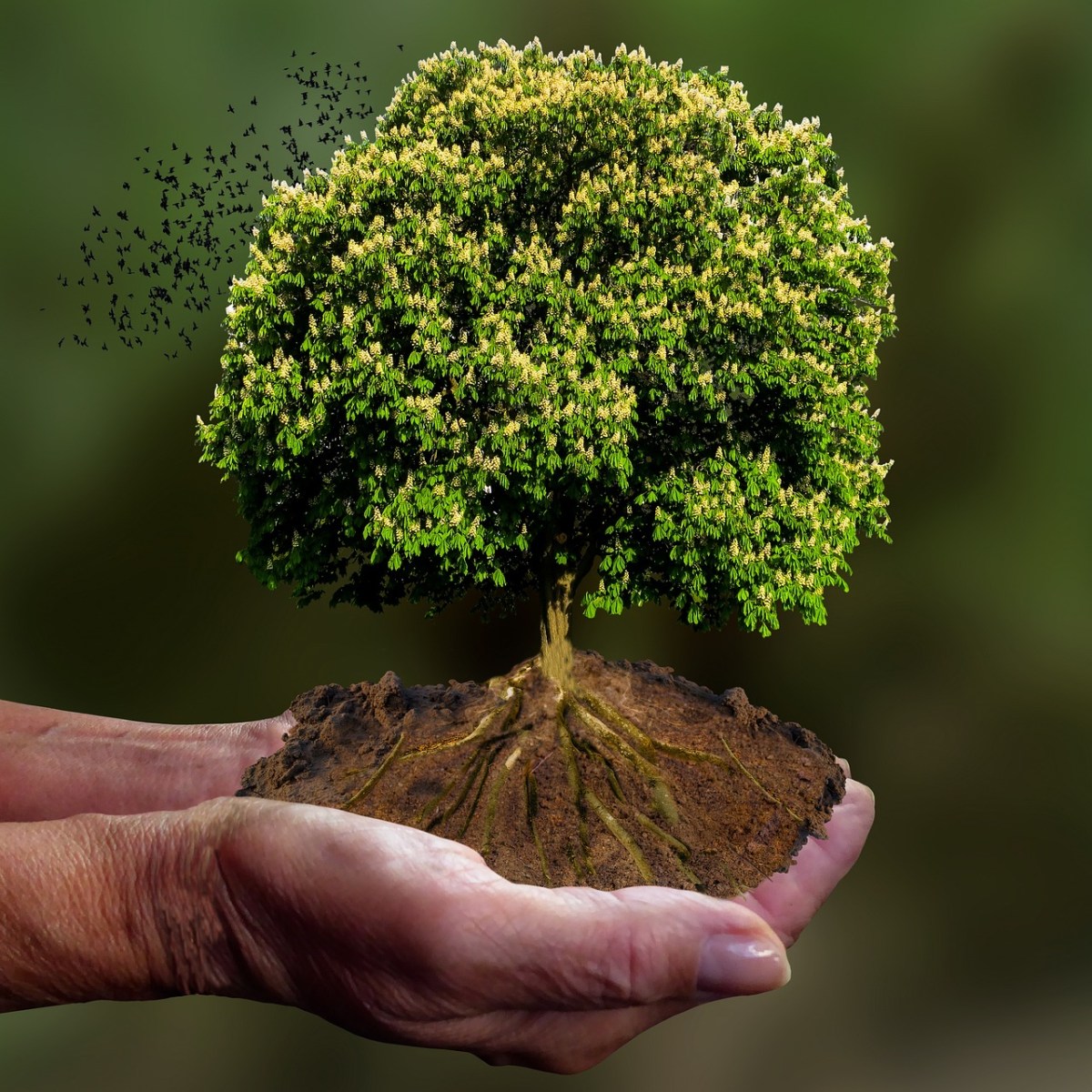 Root Cause Healing & Modern&nbsp;Medicine